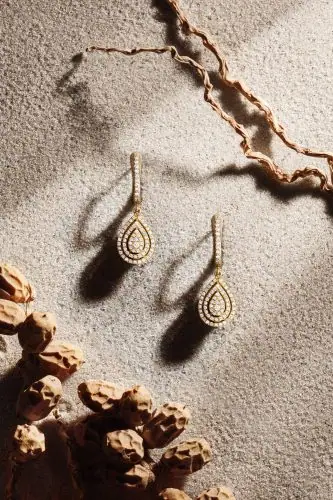 עגילי זהב מונחים על חול, מוקפים בענפים מיובשים ואגוזים, לוכדים אסתטיקה טבעית כחלק מצילום דגמי תכשיטים